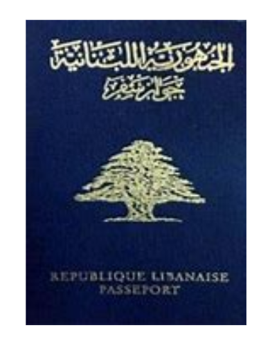 Machiene Passport
